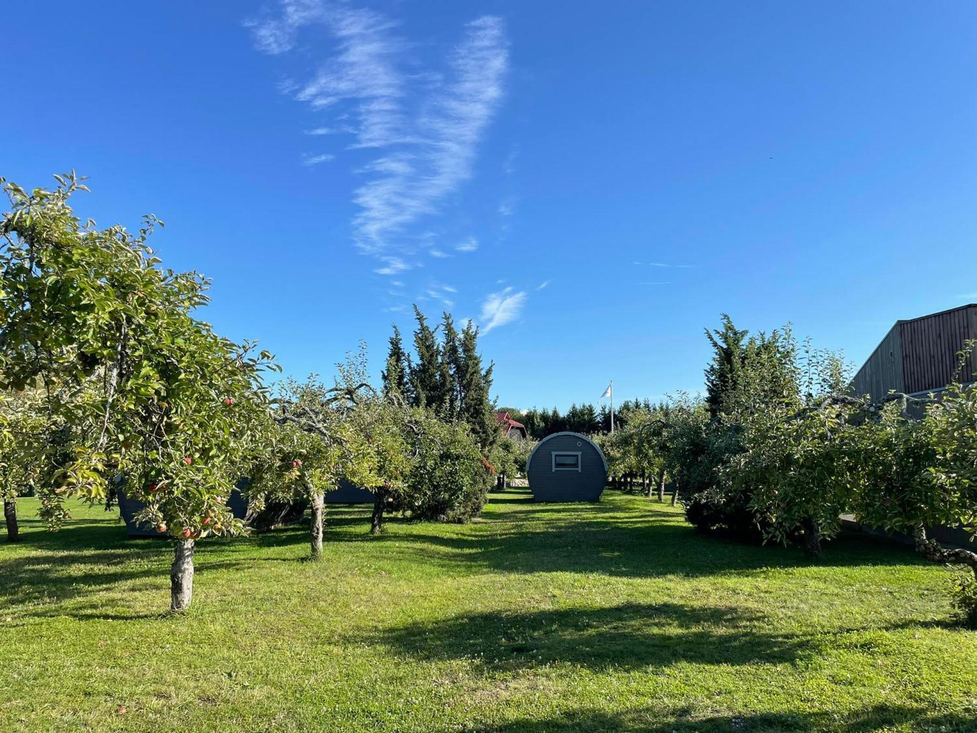 Vetsi Talli Holiday Village Kassari 外观 照片